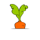 Carrot Technologies Limited logo